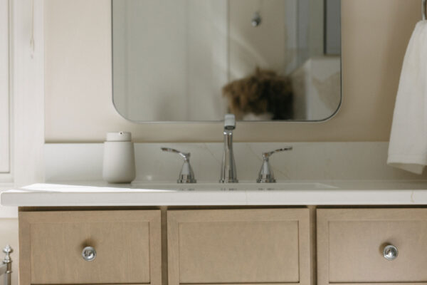 Elk-River-Ankeny-Bathroom-Remodel-9